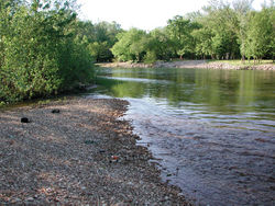 Figure 2. Type locality of Bembidion ozarkense, the Current River at Van Buren (USA: Missouri: Carter County).