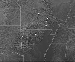 Figure 6. Map of the Ozark Plateau and surrounding regions showing the known distribution of Bembidion ozarkense. Topographic image modified from NASA/JPL, http://photojournal.jpl.nasa.gov/catalog/pia03377