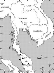 Map 2. Distributions of the new species of Orthomorpha. Crossed circle: Orthomorpha picturata sp. n.; Asterisk: Orthomorpha tuberculifera sp. n.; Inverted open triangle: Orthomorpha subtuberculifera sp. n.; Open diamond: Orthomorpha communis sp. n.; Crossed square: Orthomorpha atypica sp. n.; Filled triangle: Orthomorpha latiterga sp. n.; Open square: Orthomorpha suberecta sp. n.; Open circle: Orthomorpha isarankurai sp. n.; Open triangle: Orthomorpha elevata sp. n.; Filled circle: Orthomorpha subelevata sp. n.; Filled square: Orthomorpha similanensis sp. n.; Inverted filled triangle: Orthomorpha spiniformis sp. n.